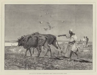 Ägypten wie es ist, Pflügen in Unterägypten